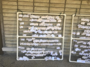 Photo of a rack for name badges